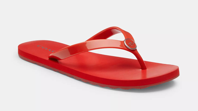Coach Outlet Zayn Flip Flop Coach Outlet Zayn Flip Flop