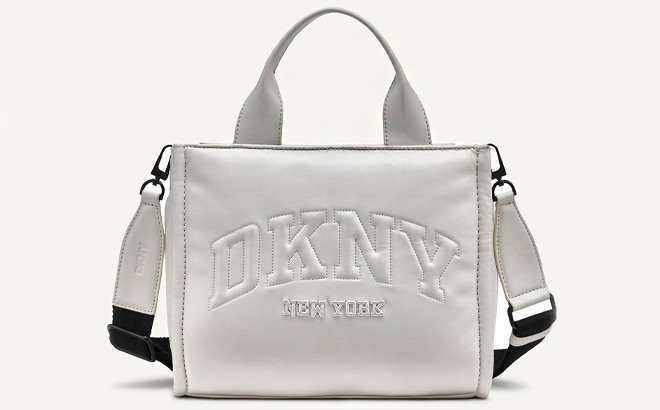 DKNY Hadlee Small Tote in Pebble Color