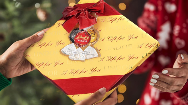 Lindt Holiday Assorted Chocolate Candy Truffles Wrapped Gift Box