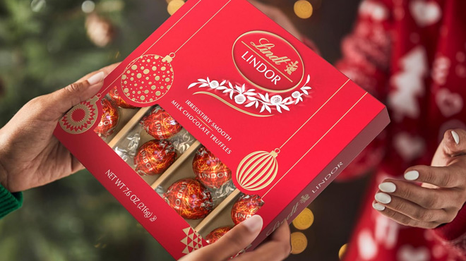 Lindt Milk Chocolate Candy Truffles Modern Gift Box