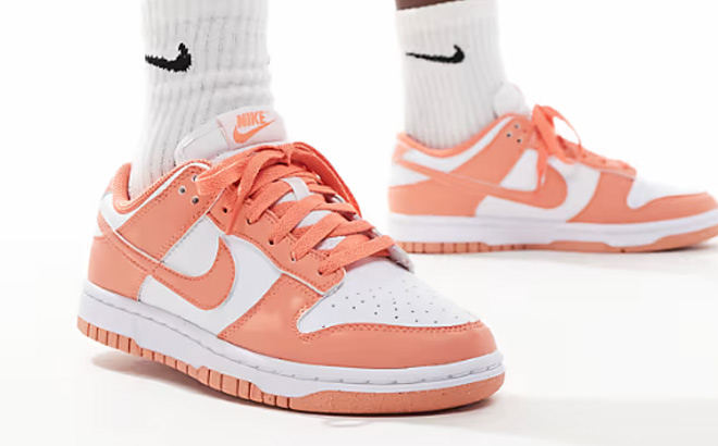 Nike Dunk Low Shoes