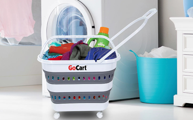 Portable Folding GoCart