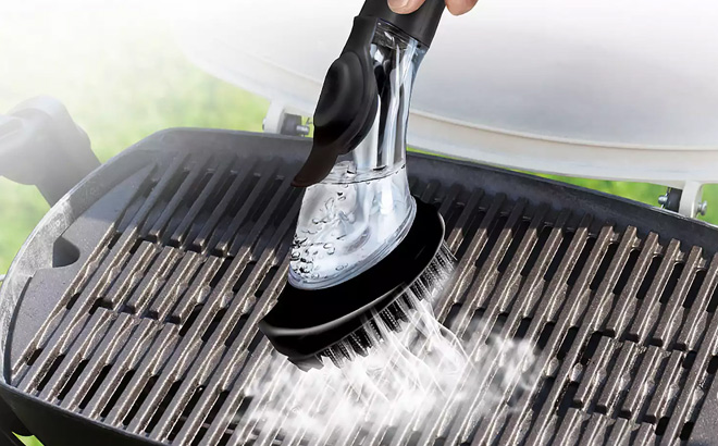 Protocol BBQ Steam Brush