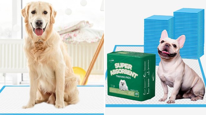 Puppy Pee Pads 100 Count Puppy Pee Pads 100 Count