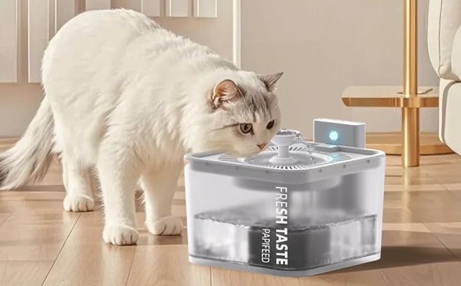 Rechargeable Cat Water Fountain