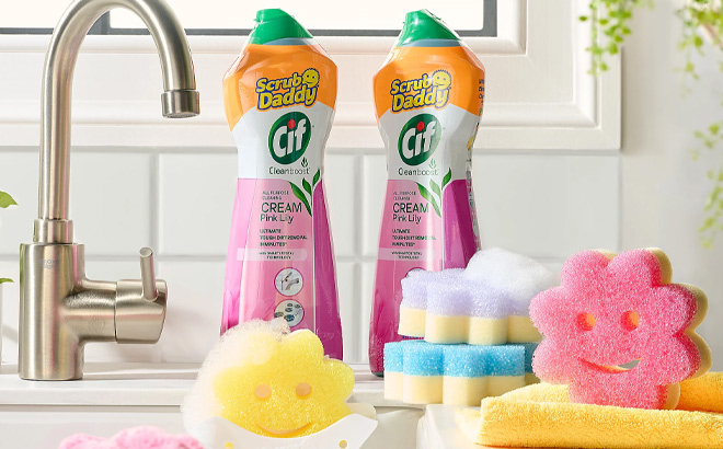 Scrub Daddy 9 pc Set in the Kitchen