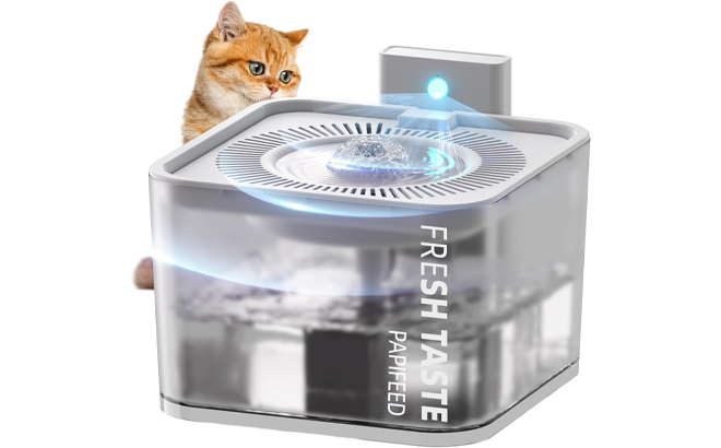 Semi Transparent Visible Water Tank with Motion Sensor Function