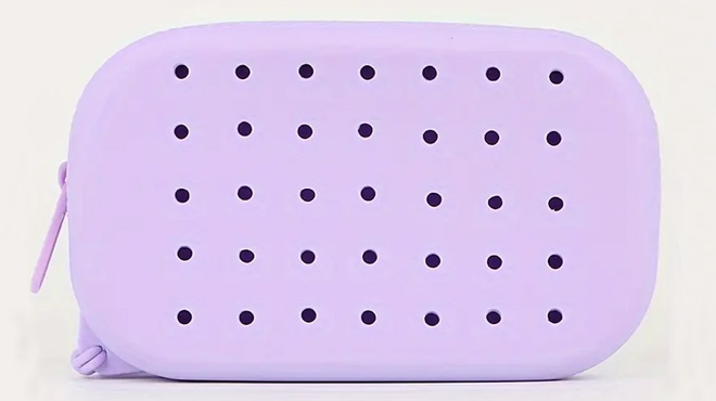 Silicone Coin Purse in Purple