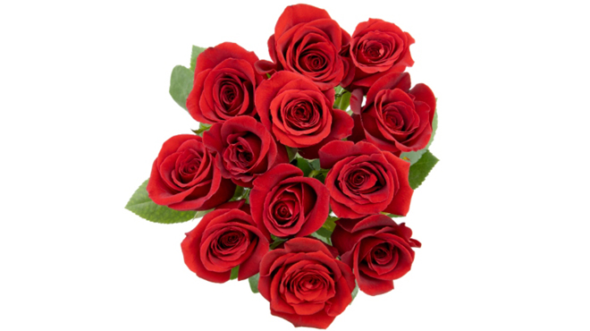 Sprouts Market Dozen Fresh Roses