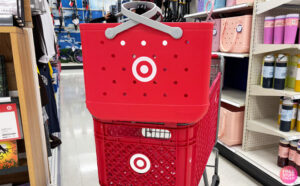 Target Bogg Bag Original Bullseye Bag on Target Cart
