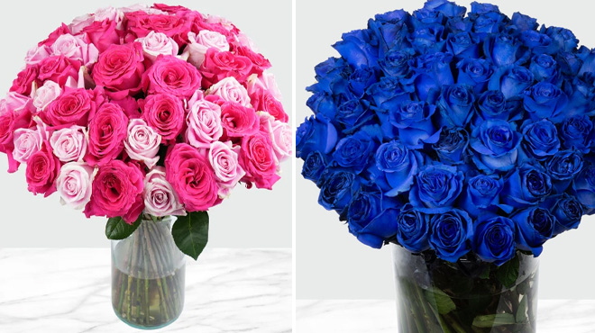 Valentines Day Hot Pink Light Pink Roses and 50 Stem Blue Roses