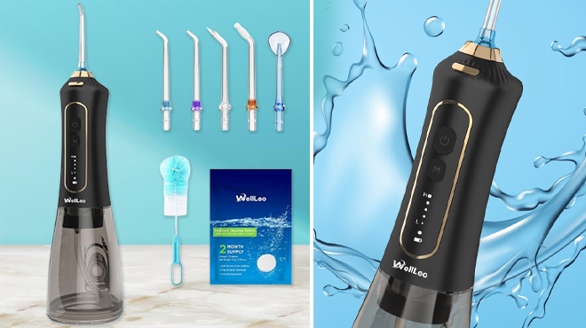 WellLeo Cordless Water Dental Flosser