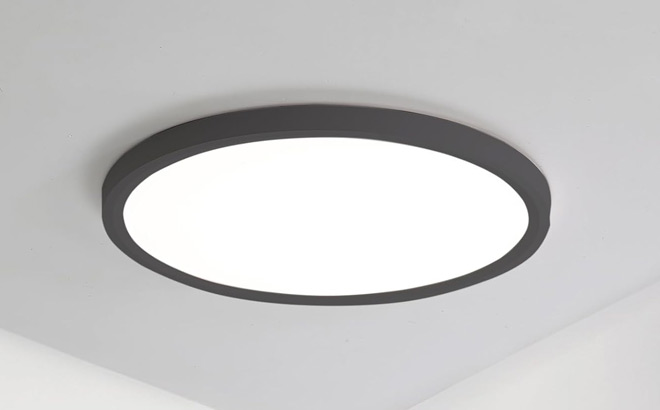 12 Inch LED Flush Mount Ceiling Light