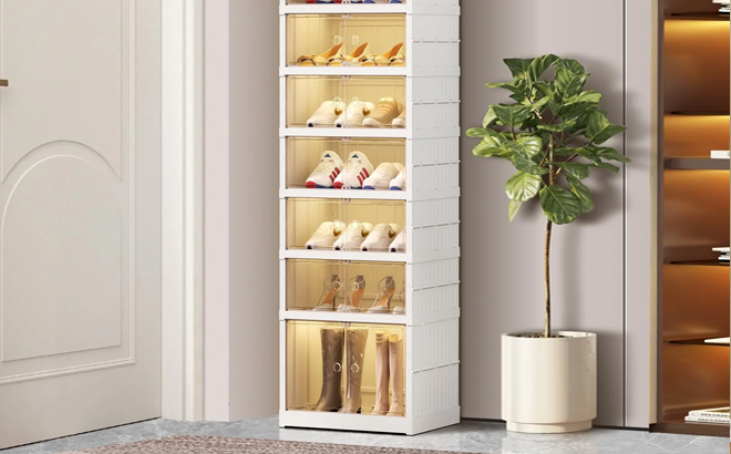 9 Tier Shoe Rack copy