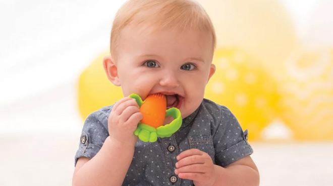 A Baby Using the Infantino Little Nibbles Carrot Textured Silicone Teether