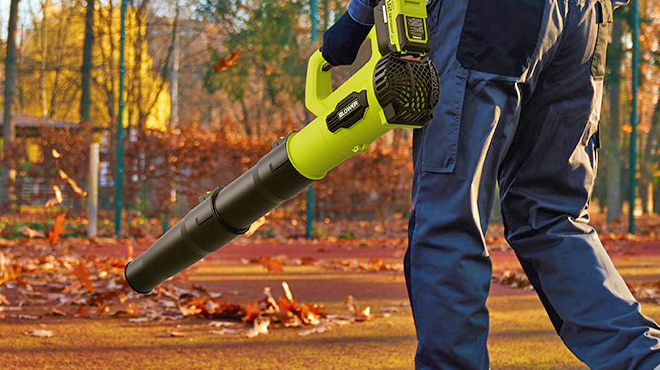 A Person Using a Leapul Leaf Blower