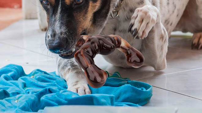 Aelflane Dog Chew Toy