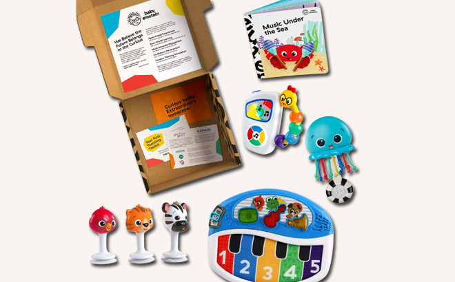 Baby Einstein Babys First Music Teacher Developmental Toys Kit