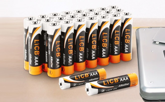 Batteries 24 Pack