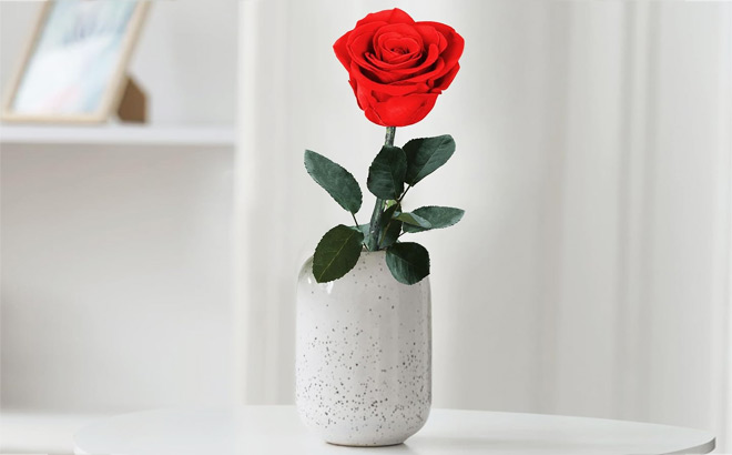 Childom Valentines Day Rose Gifts for Her