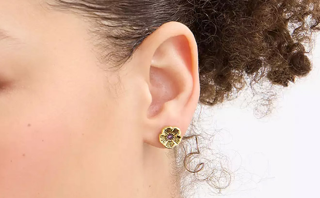 Coach Outlet Tea Rose Stone Stud Earrings