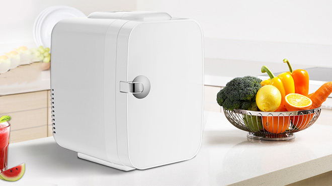 DUMOS Portable Mini Fridge