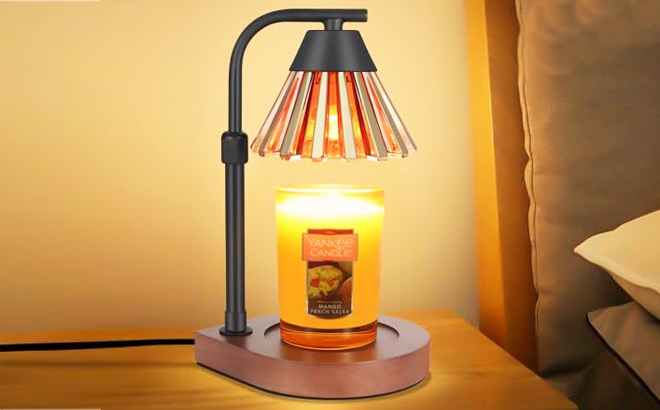Dimmable Candle Warmer Lamp with Timer