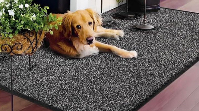 Dirt Trapper Door Mat