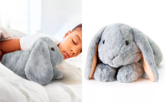 FAO Schwarz Adopt A Pets Bunny Plush