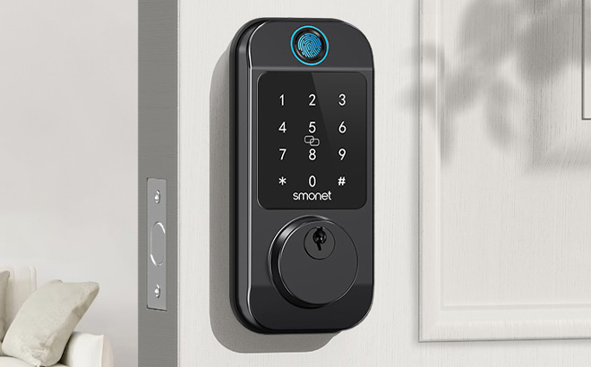 Fingerprint Front Door Lock on the Door