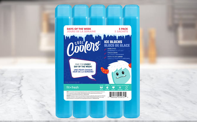 Fit Fresh Cool Coolers Ice Blocks