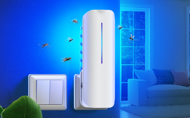 Flying Insect Trap Plug