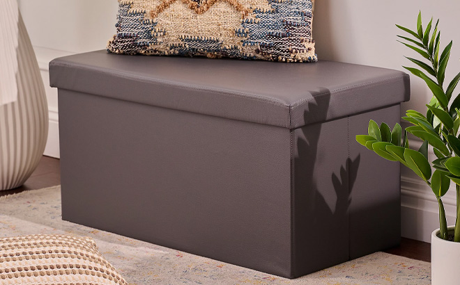 Fresh Home Elements Collapsible Storage Bench in Charcoal Color