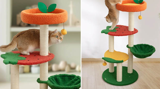 Fruit World Cat Trees Fruit World Cat Trees