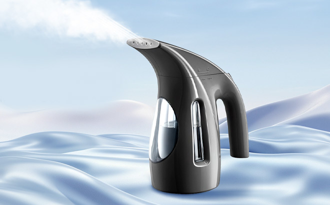 HiLIFE Handheld Clothes Steamer HiLIFE Handheld Clothes Steamer