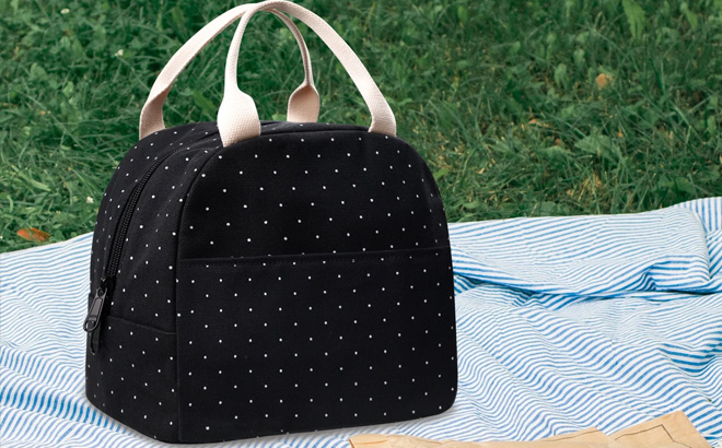 Insulated Lunch Bag on a Picnic Blanket