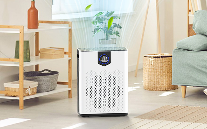 Large Room Air Purifier