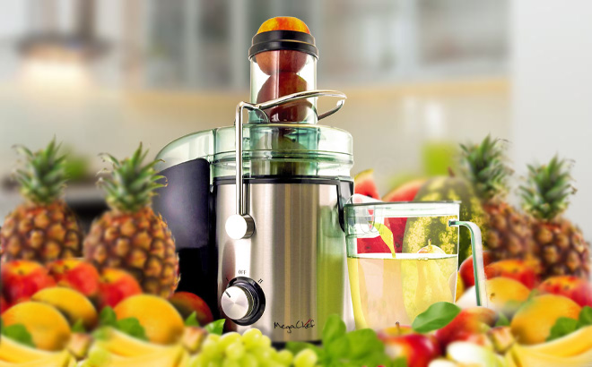 MegaChef Stainless Steel Juice Extractor