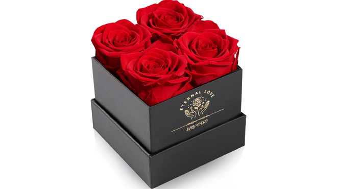 Preserved Rose Mothers Day Roses in a Box Preserved Rose Mothers Day Roses in a Box