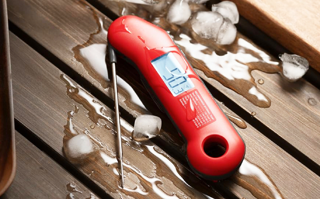 Professional Digital Meat Thermometer