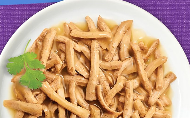 Purina Friskies Shreds Cat Food in Plate