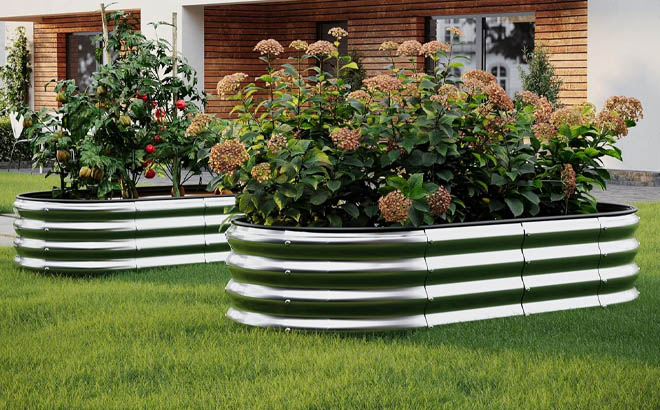 Raised Garden Beds