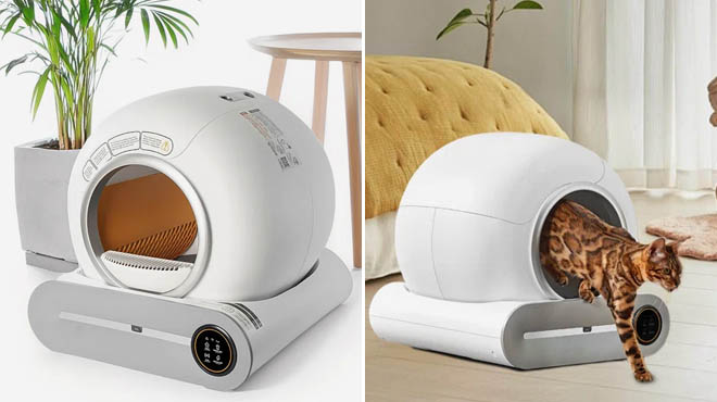 Smart Cat Litter Box Smart Cat Litter Box