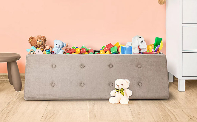 Sorbus Storage Ottoman Bench Sorbus Storage Ottoman Bench