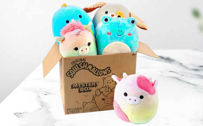Squishmallows 5 Inch Plush Mystery Box 5 Pack