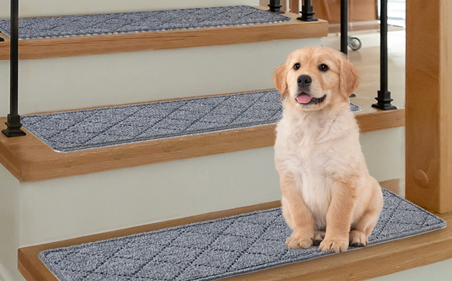 Stair Treads Non Slip for Wooden Steps Indoor