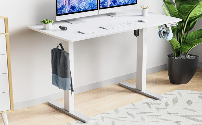 Sweetcrispy Electric Standing Desk