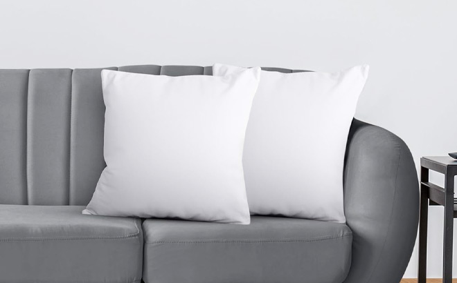 Throw Pillow 2 Pack