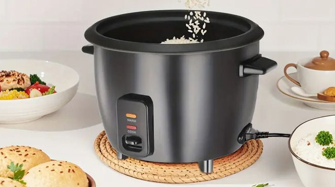 Versatile 6 Cup Rice Cooker