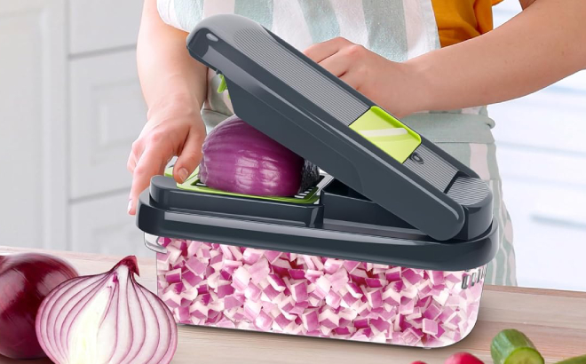 12 in 1 Multifunctional Vegetable Chopper